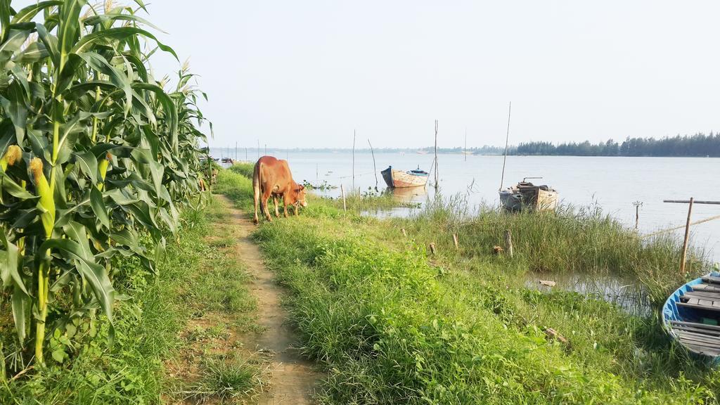 Riverside Hamlet Homestay & Villa Hoi An Exterior foto