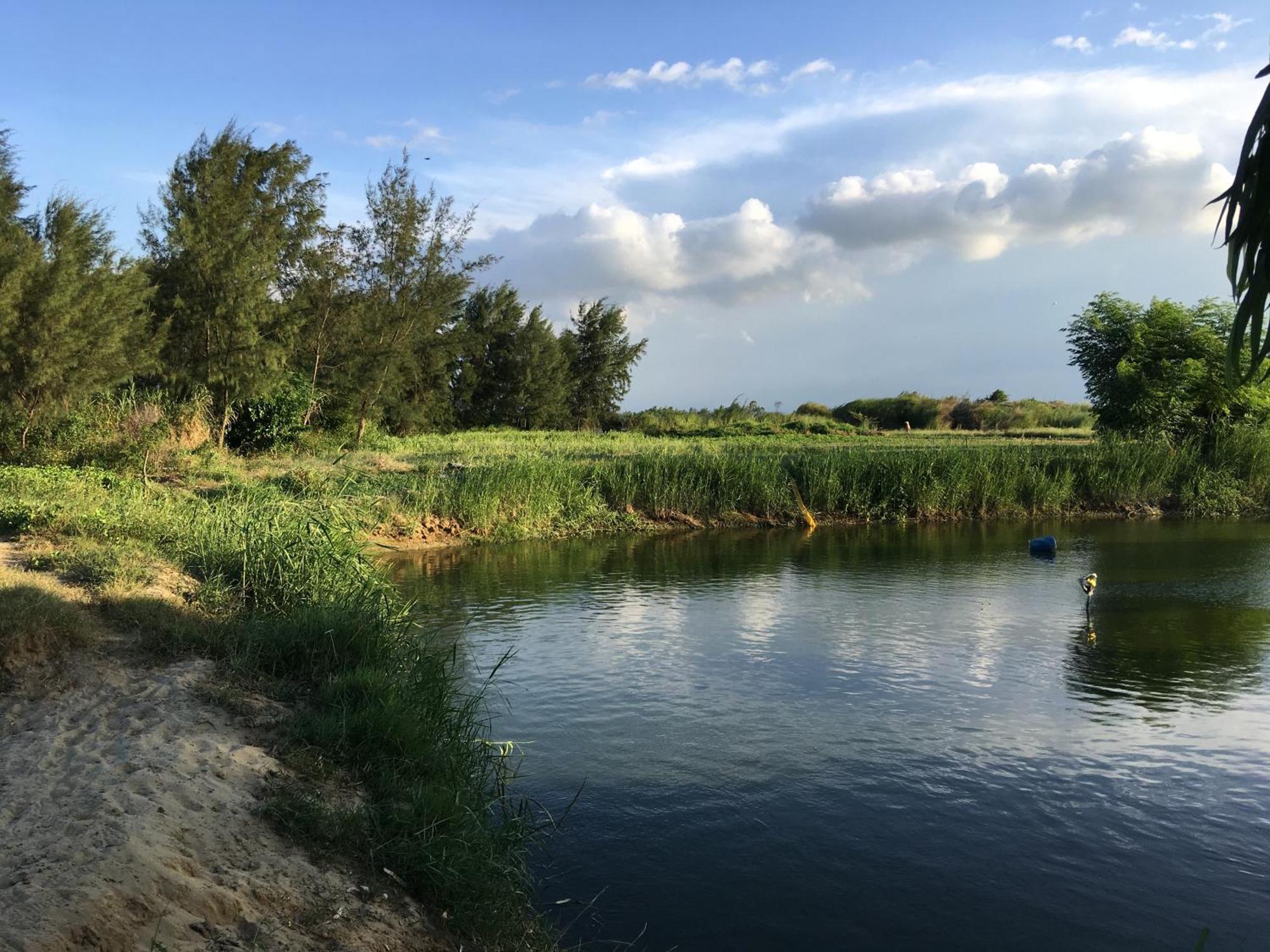 Riverside Hamlet Homestay & Villa Hoi An Exterior foto
