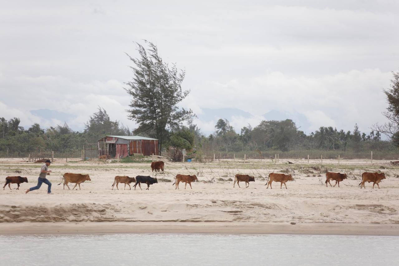 Riverside Hamlet Homestay & Villa Hoi An Exterior foto